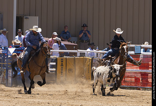 Never Summer Rodeo 2025