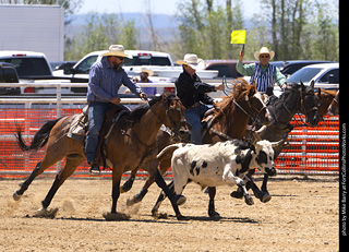 Never Summer Rodeo 2025