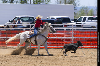 Never Summer Rodeo 2025