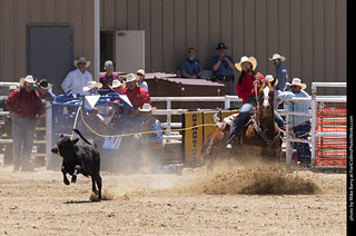 Never Summer Rodeo 2025