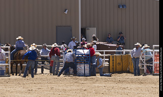 Never Summer Rodeo 2025