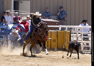 Never Summer Rodeo 2025