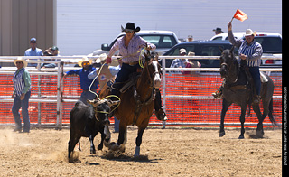 Never Summer Rodeo 2025