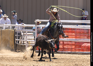 Never Summer Rodeo 2025