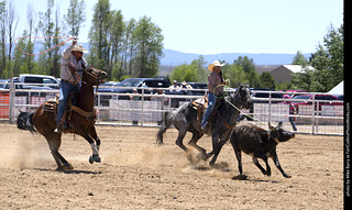 Never Summer Rodeo 2025