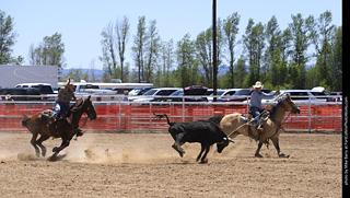 Never Summer Rodeo 2025