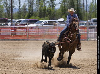 Never Summer Rodeo 2025