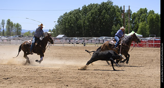 Never Summer Rodeo 2025