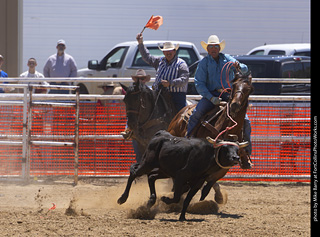 Never Summer Rodeo 2025