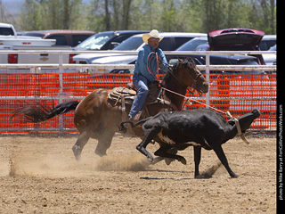 Never Summer Rodeo 2025