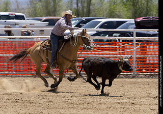 Never Summer Rodeo 2025
