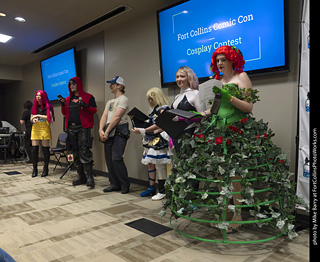 Fort Collins Comic Con 2025 - Contest