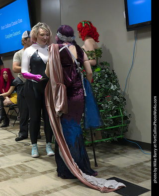 Fort Collins Comic Con 2025 - Contest