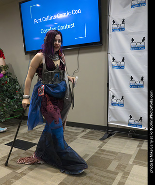 Fort Collins Comic Con 2025 - Contest