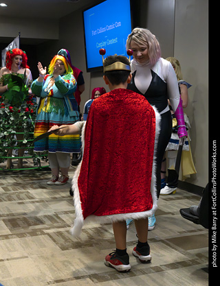 Fort Collins Comic Con 2025 - Contest