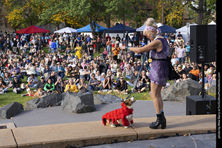 Tour de Corgi 2025 - Costume Contest
