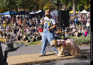 Tour de Corgi 2025 - Costume Contest