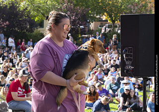 Tour de Corgi 2025 - Costume Contest