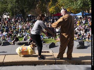 Tour de Corgi 2025 - Costume Contest