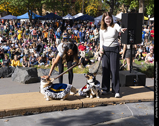 Tour de Corgi 2025 - Costume Contest