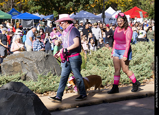 Tour de Corgi 2025 - Costume Contest