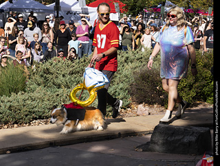 Tour de Corgi 2025 - Costume Contest