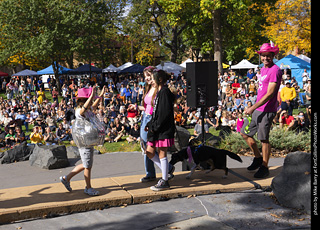 Tour de Corgi 2025 - Costume Contest