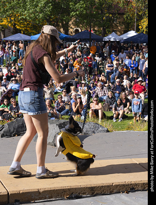 Tour de Corgi 2025 - Costume Contest
