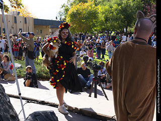Tour de Corgi 2025 - Costume Contest