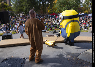 Tour de Corgi 2025 - Costume Contest