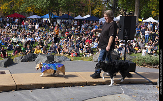 Tour de Corgi 2025 - Costume Contest