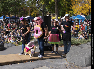 Tour de Corgi 2025 - Costume Contest