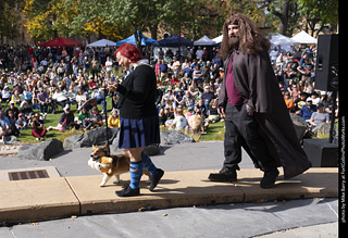 Tour de Corgi 2025 - Costume Contest