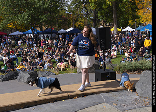 Tour de Corgi 2025 - Costume Contest