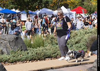 Tour de Corgi 2025 - Costume Contest