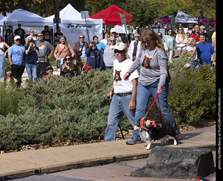 Tour de Corgi 2025 - Costume Contest