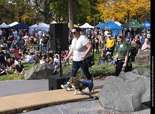 Tour de Corgi 2025 - Costume Contest