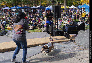 Tour de Corgi 2025 - Costume Contest