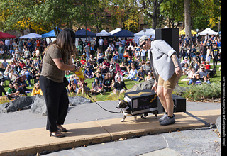 Tour de Corgi 2025 - Costume Contest