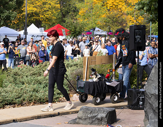 Tour de Corgi 2025 - Costume Contest