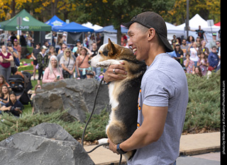 Tour de Corgi 2025 - Costume Contest