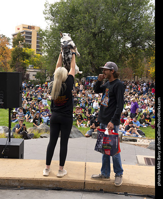 Tour de Corgi 2025 - Costume Contest