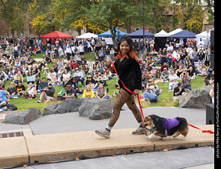 Tour de Corgi 2025 - Costume Contest