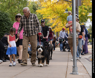 Tour de Corgi 2025 - The Tour