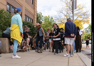  Tour de Corgi 2025 - The Tour