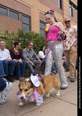  Tour de Corgi 2025 - The Tour