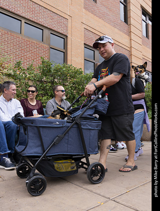  Tour de Corgi 2025 - The Tour