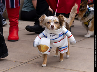  Tour de Corgi 2025 - The Tour