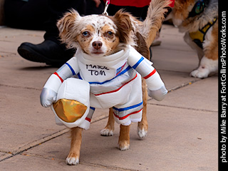 TDC 2025 The Tour #3