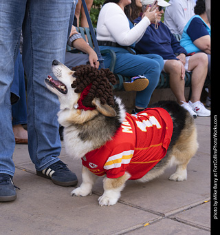  Tour de Corgi 2025 - The Tour